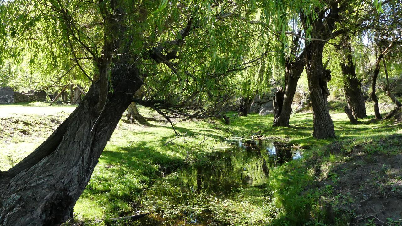 Cabanas Pampa Mina Clavero Dış mekan fotoğraf